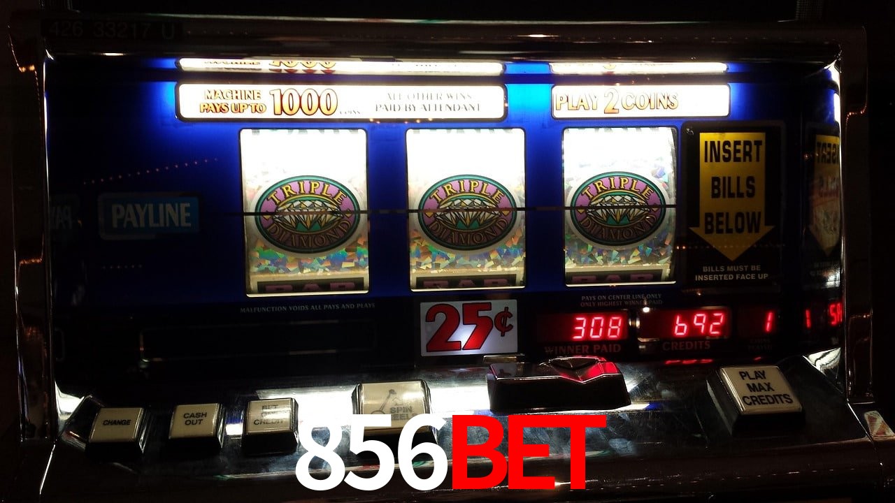 Experiência VIP 856bet