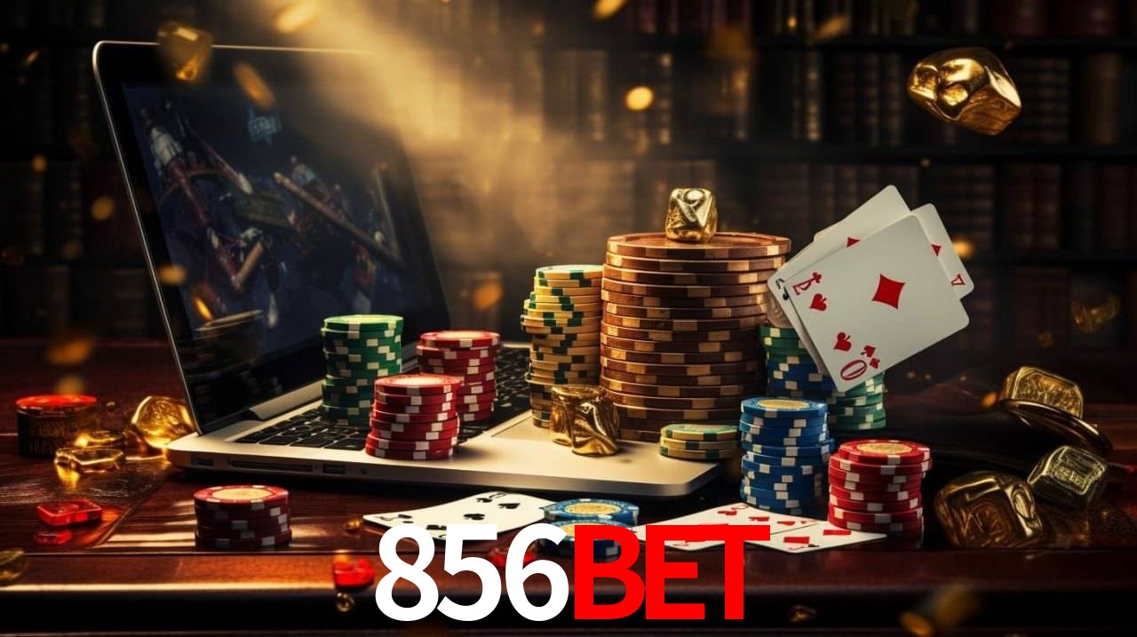 Experiência VIP 856bet