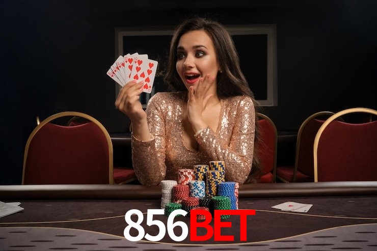 Programa VIP 856bet