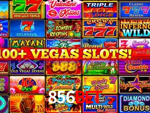 856bet Rio de Janeiro - Bonus Terms