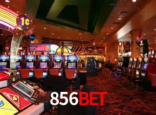 856bet São Paulo - Live Tables