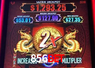 856bet Salvador - Bonus Stats