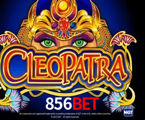 856bet Rio de Janeiro - Professional Dealers