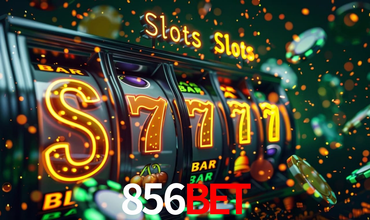 Recursos de Bônus 856bet