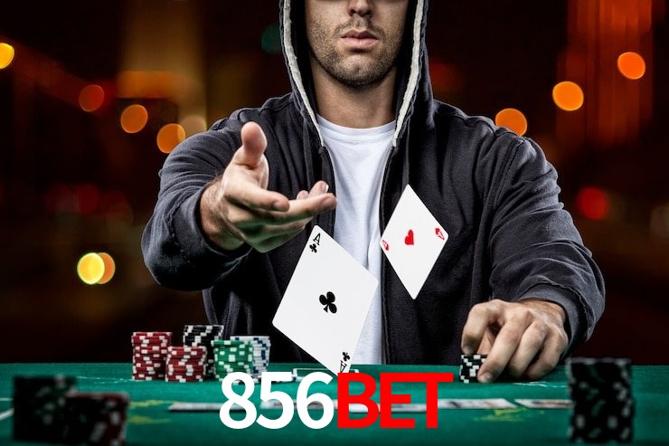 856bet.com